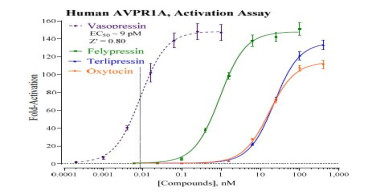 INDIGO Biosciences Releases Luciferase Reporter Assays for Arginine Vasopressin Receptors AVPR1A, AVPR1B, and AVPR2