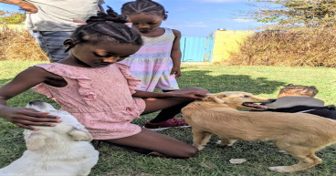 Uk Charity Awards Grant To Animal Organisations In Barbados And Sudan Naturewatch Foundation