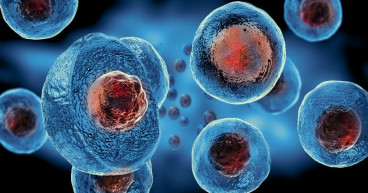 Regenerative Medicine Market is growing at a CAGR of 20.36% from 2024 to 2030 by Exactitude Consultancy