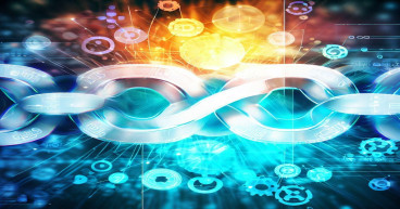 Modified Information Ratio Reveals Network Effects Behind Long-Term ICO Success