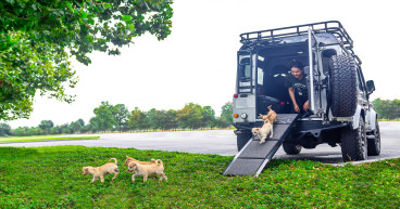 ECD Auto Design Partners with Mercy Full Projects to Support Animal Welfare