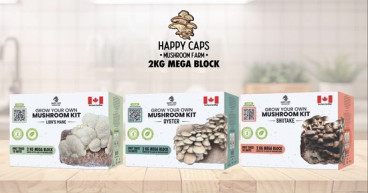 Red Light Holland Announces Increased Order from Costco Canada for Happy Caps 2kg