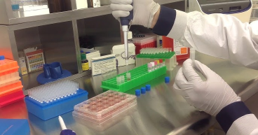 HEK293 Cell Transfection Reagent Market 2024-2032: Key Drivers and Strategies to Market Valuation, Size, Share Analysis