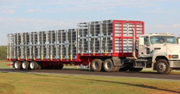 Poultry Trailer Weight Distribution: Balancing Loads for Safe and Efficient Transport