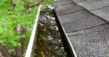 Chicagoland Residents Urged to Schedule Gutter Cleaning Services Before Winter