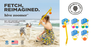 Project Hive Pet Company Launches Game-changing New Fetch Toy for Dogs