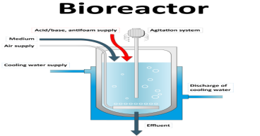 Bioreactors Market Projected To Witness Substantial Growth, 2024-2031: GE Healthcare, Pall Corporation, Infors AG