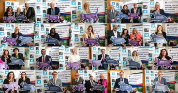  Animal Charity Thanks Mps For Showing Support For Domestic Abuse Victims Who Have Pets 