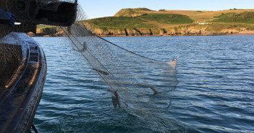  Targeted Acoustic Startle Technology (Tast) Nets Responsible Fisheries Innovation Award 