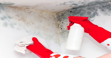 Winter Health Warning: Mould Poses Serious Risks as Damp Conditions Increase