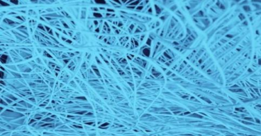 CD BioSciences Introduces Sustainable and Eco-Friendly Products for Environment-Friendly Development