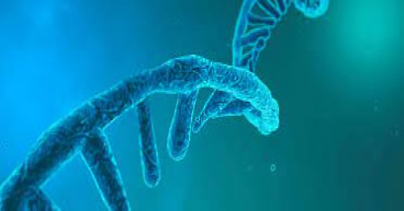 m-RNA Synthesis Service Market Set to Witness Significant Growth by 2024-2031: Maravai LifeSciences, Azenta US, Inc.