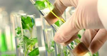 Bio Succinic Acid Market to Witness Excellent Revenue Growth Owing to Rapid Increase in Demand