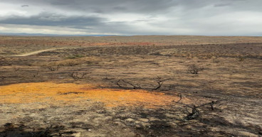 Provenance Gold Engages Drilling Contractor for March Drill Mobilization and Commences Drone-Based Airborne Magnetic Survey at its Eldorado Property