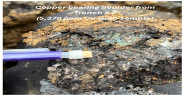  Great Atlantic's 2024 Trench Rock Samples Return Highly Anomalous Gold and Copper Values at its 100% Owned Golden Promise Gold Property - Central Newfoundland 