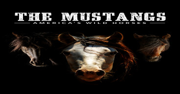 “THE MUSTANGS: AMERICA'S WILD HORSES” IS STREAMING FOR FREE ON PBS