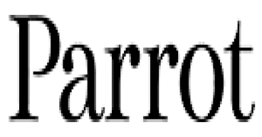 Parrot: 2024 Full Year Earnings