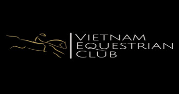 Horses.vn Brings the Joy of Horseback Riding to Central Vietnam
