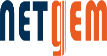 Netgem : 2024 Results And 2025 Objectives