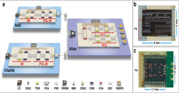 Chip-Integrated Quantum Digital Signature Network Achieves High-Rate Performance