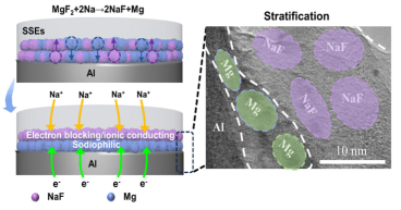 Charting new terrain in energy storage: the emergence of zero-sodium-excess solid-state batteries