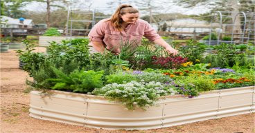 Vego Garden Aligns Product Innovations with 2025 Gardening Trends for a Healthier, More Sustainable Season