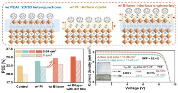 Sunlight to power: innovative interface engineering for high-performance perovskite solar cells