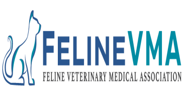 The Feline Veterinary Medical Association Advocates for Proper Socialization of Kittens