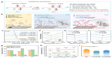 Stereoisomeric Engineering for Critical Balance of Solvation and Adsorption Capability
