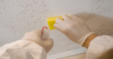 The Link Between Humidity and Mold Growth: Managing Indoor Moisture for Structural and Environmental Health