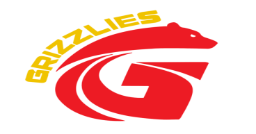 Golden State Grizzlies Announce New Ownership and CEO: Samir Shah Takes the Helm to Lead Franchise into the Future