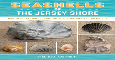 Scallops Have Eyes, Oysters Change Genders, Seashells of the Jersey Shore is a Go-to Guide to Take Down the Shore