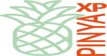 PINYA XP f/k/a Pineapple Express Cannabis Company, Announces Engagement of Independent Auditor for Fiscal Year 2025