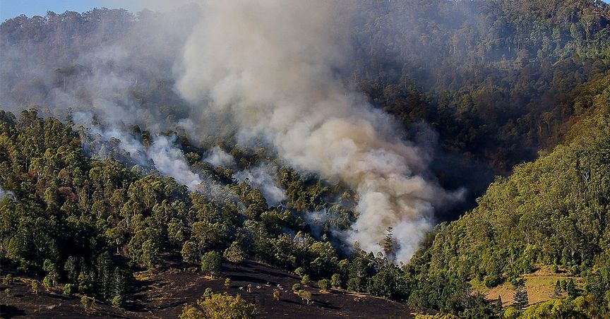 4 Unexpected Costs of the Bushfire Crisis