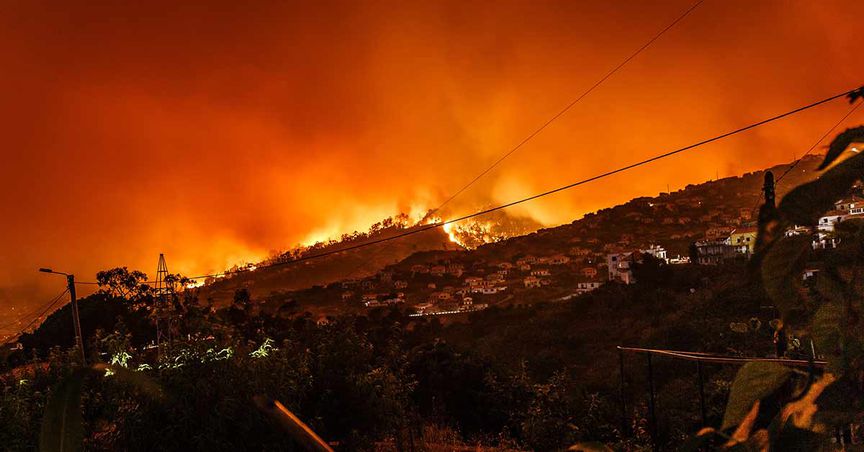 Bushfire Recovery: Conflicting priorities for infrastructure repair