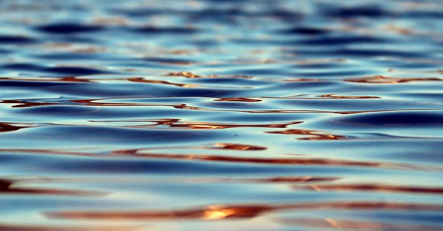 What's the buzz about Zero Mass Water? How is it making clean water via its solar panels? 