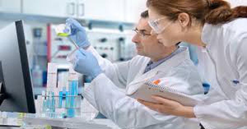  A Glimpse at Five Health Care Stocks – AVH, PAR, MYX, REG, PNV 