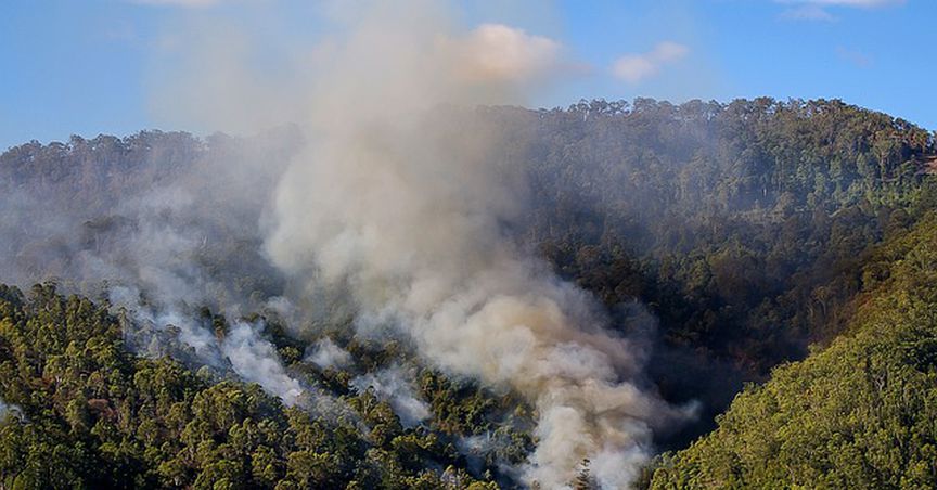  Impact of Bushfires on ASX Stocks- ELD, BGA, ATL 