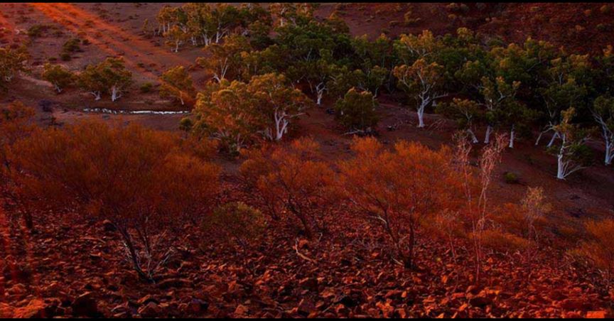  Great Southern Reports Quarterly Activities: Historic High-grade Gold System with High-Grade Zones Discovered 