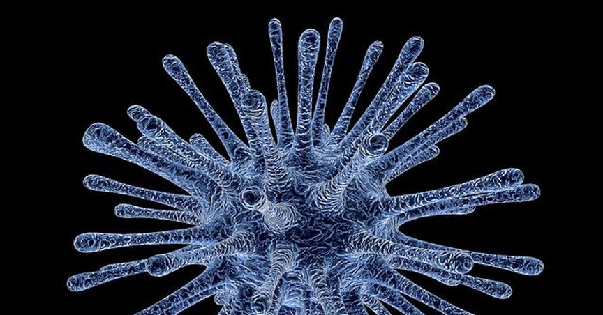 Australian Shares Shed Wealth Amid Coronavirus Pandemic