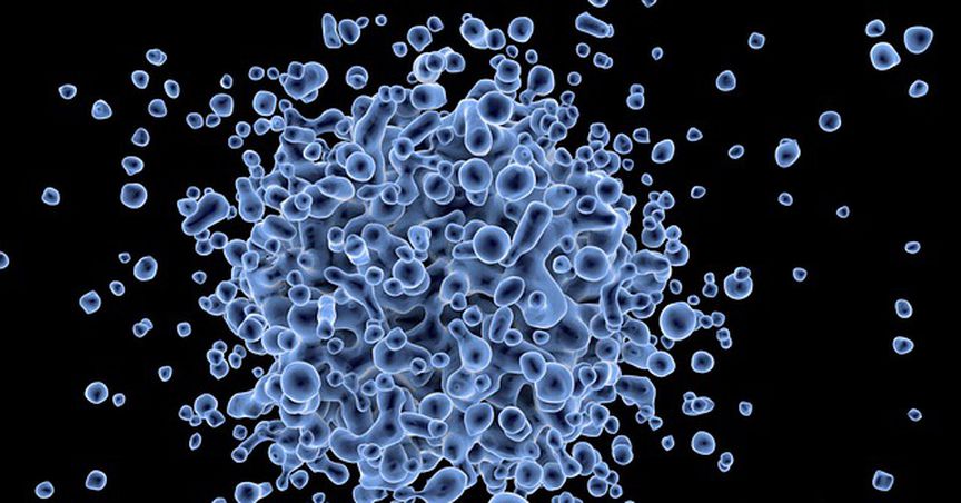 Coronavirus Triggers Fears about Chinese Economic Growth
