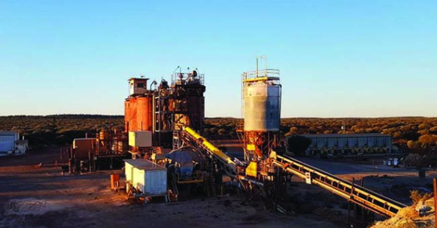 Middle Island Delivers Solid Performance in December 2019 Quarter 