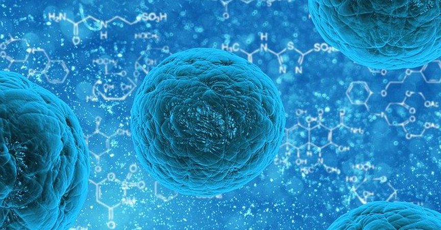  Coronavirus Worries for Casino and Travel Players 