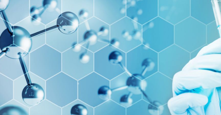 Noxopharm Seeks to Bring Veyonda® to Market as a First-in-class Drug to Boost the Effectiveness of Radiation Therapy in Prostate Cancer