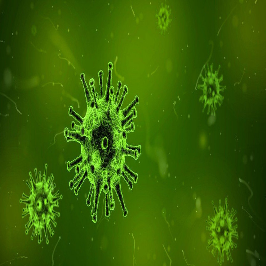  Stocks Benefited from COVID-19 Outbreak: ZNO’s Share Up by 34x, A2M Sales Soar in China 