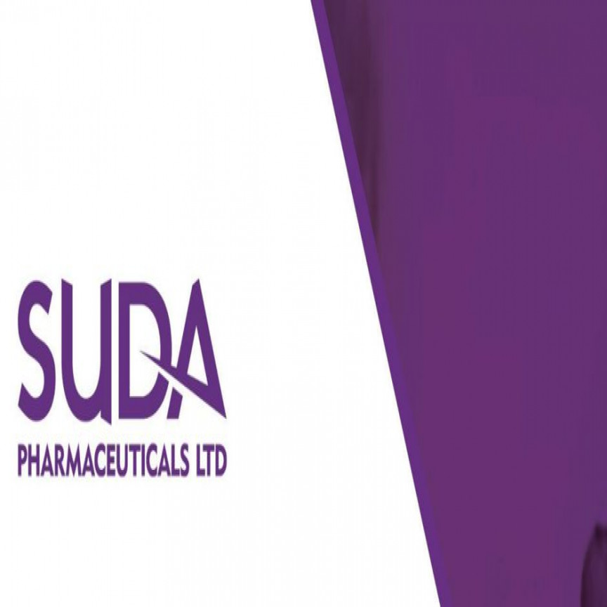  Lens over SUDA’s Operational Highlights in 1H FY20 