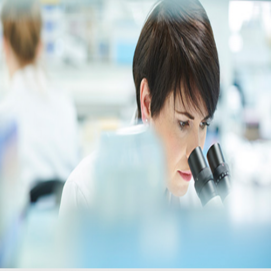 Sypharma: A Complete Solution to Your Drug Development Requirements