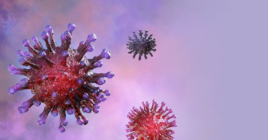  Coronavirus Latest: Signs of Spread Ebbing, Antibody Test to Be Ready Soon 