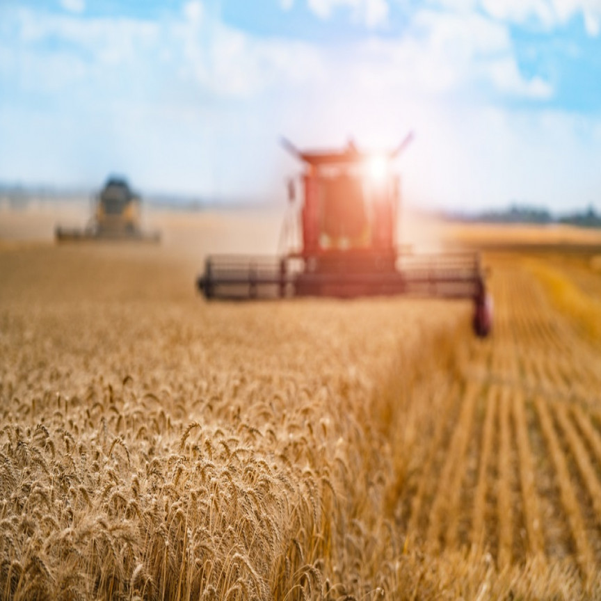  Agriculture stocks that could help recover from the COVID-19 nightmare - BGA, TGR, BGT 