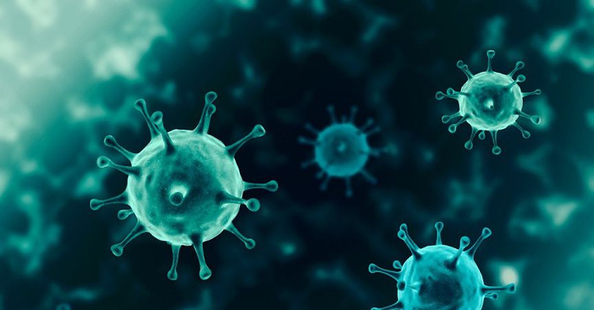 IMF Warns Coronavirus to Trigger ‘Worst’ Economic Fallout Since 1930’s Great Depression